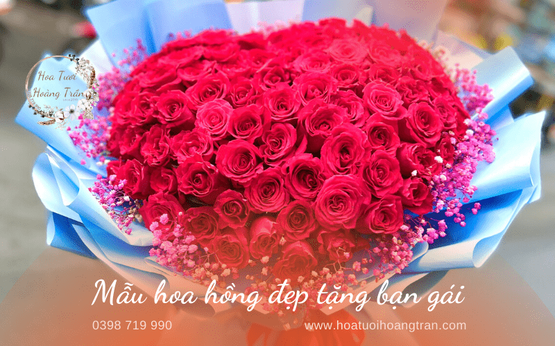 99 mẫu hoa hồng đẹp tặng người yêu